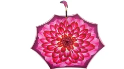 Il Marchesato Beautifull Double Canopy Toucan Umbrella in a Luxurious Gradient Fuchsia Fashionable Umbrella Fashion