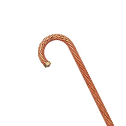 Il Marchesato Crook Walking Cane Encrusted with Siam crystals Discount