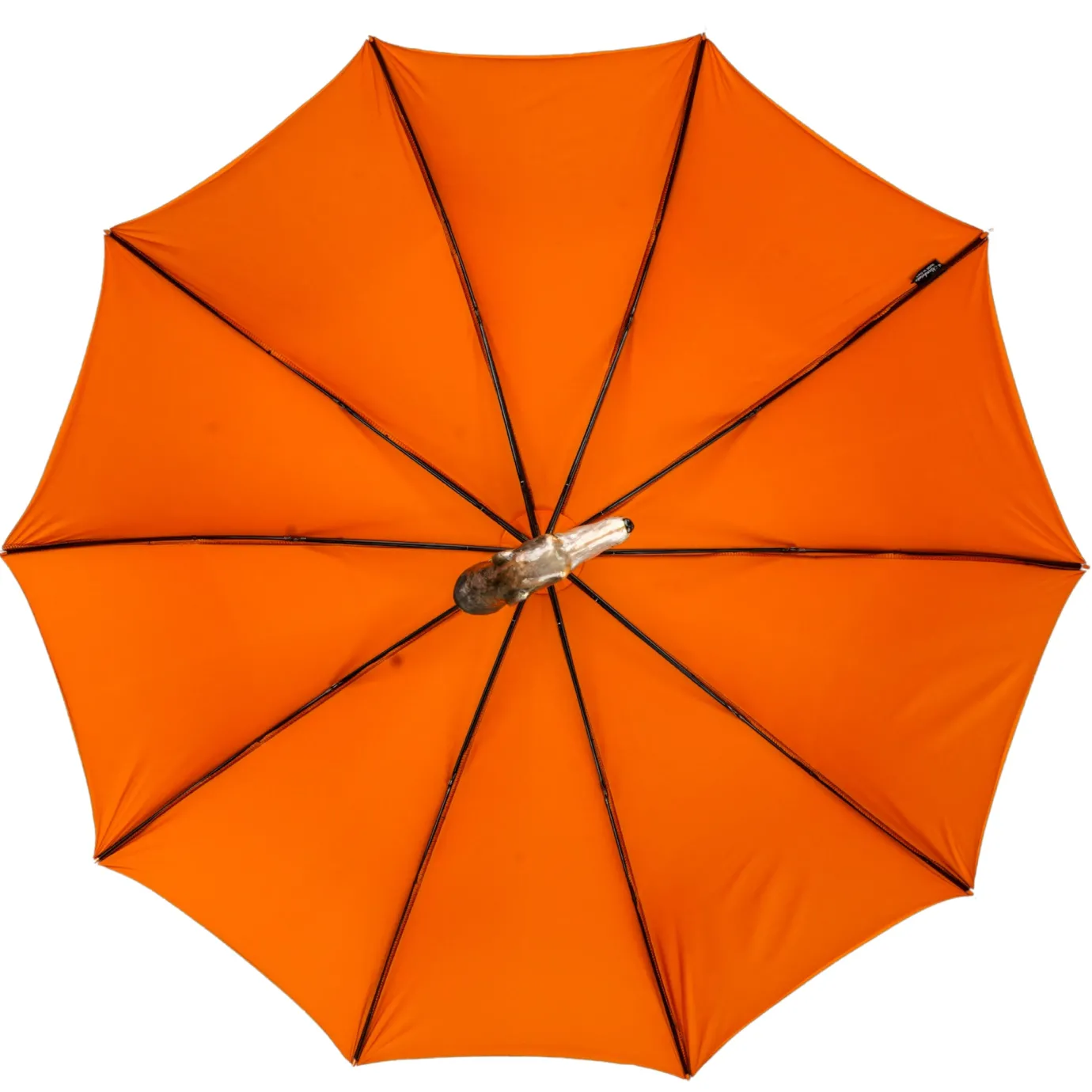Il Marchesato Exclusive striped umbrella - hand-painted greyhound umbrella Online