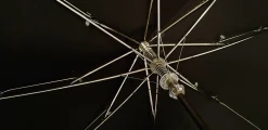 Il Marchesato Folding Umbrella Stylish Men Sale
