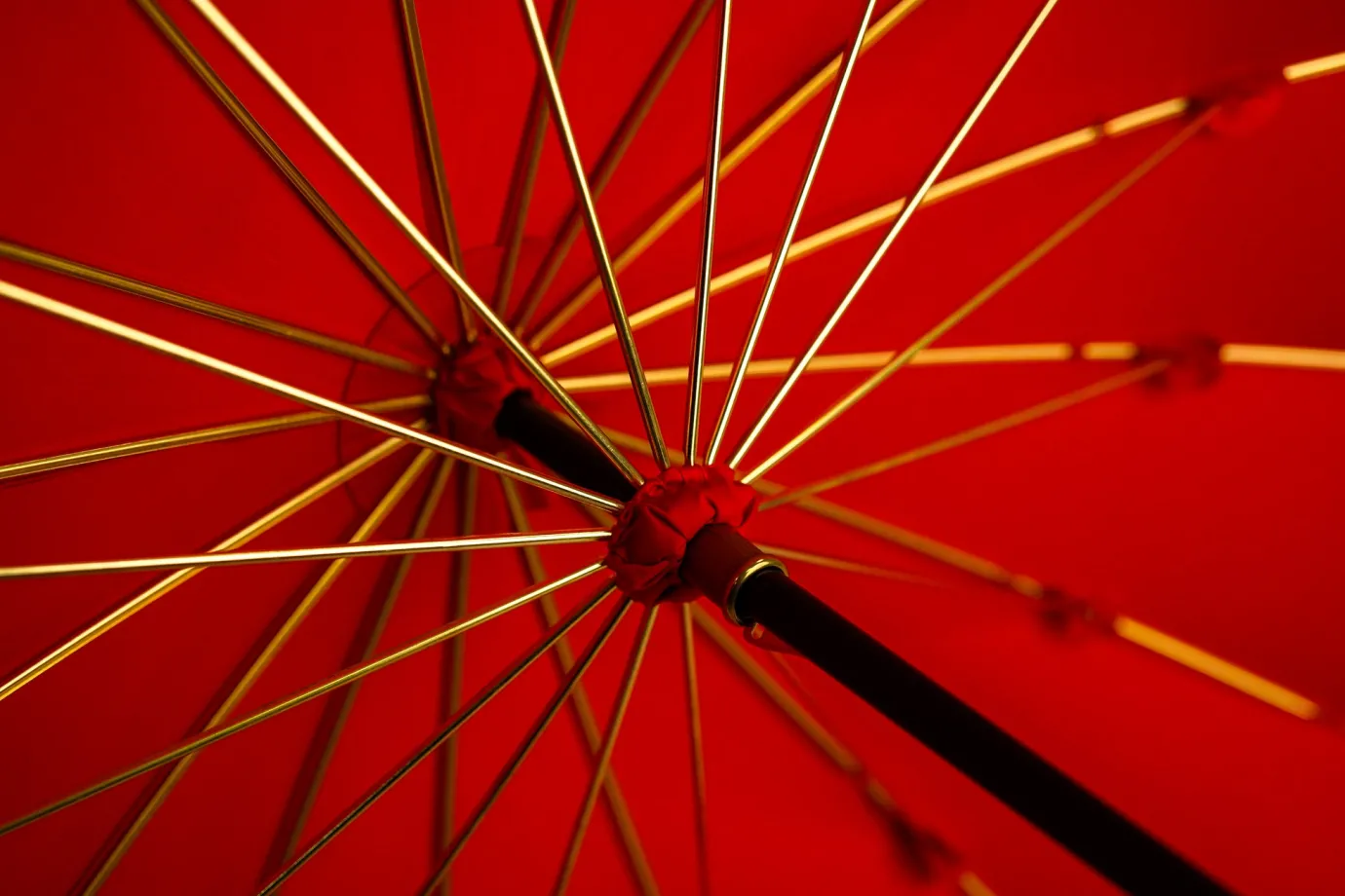 Il Marchesato LIMITED COLLECTION - Exclusive Red Umbrella with Jeweled Panther Handl Outlet