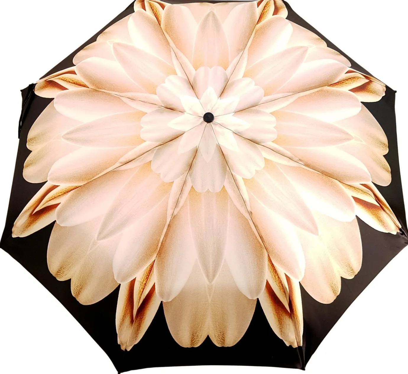 Il Marchesato Lotus Women's Folding Umbrella with Black Duck Handle Handmade Mini Umbrellas Sale