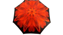Il Marchesato Red Flower Women's Folding Umbrella with Silver-Plated Handle Online